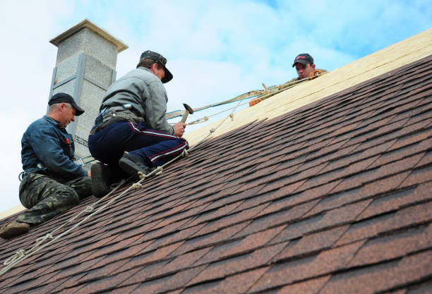 Best Commercial Roofing Services  in Lam, AR
